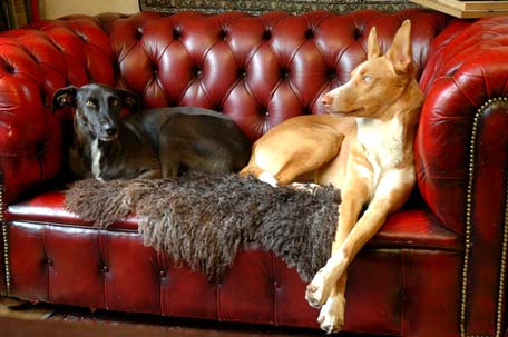 Arbeit an einer alten Standuhr