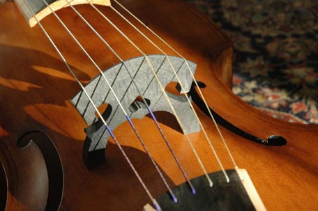 Viola da Gamba