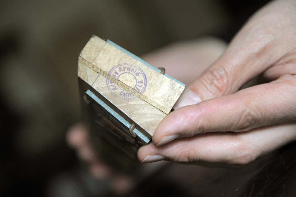 Kanzellenblock und Stimmplattenhalter