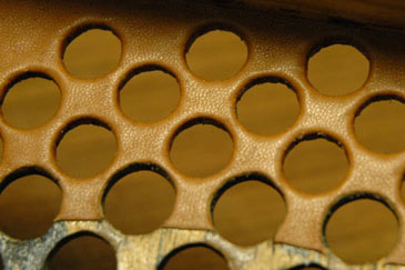 Neue Lederpolsterungen in den Deckeln