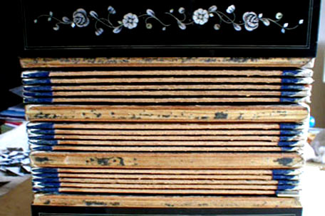 Neues Schutzleinen außen