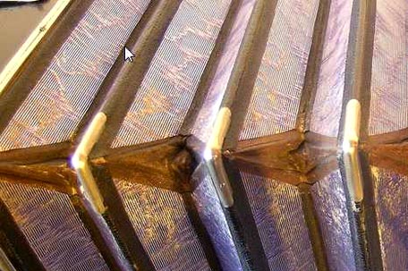 Balg in einem Bandoneon von ELA